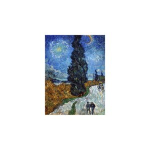 Reprodukcia obrazu Vincent van Gogh - Country Road in Provence by Night