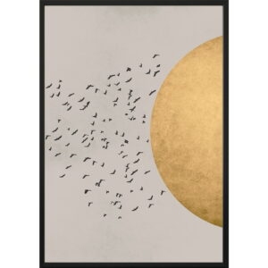 Nástenný plagát v ráme BIRDS/SILHOUTTE