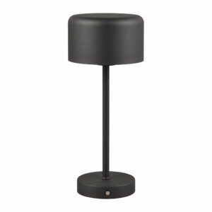 Matne čierna LED stolová lampa so stmievačom (výška  30 cm) Jeff – Trio