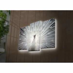 Osvetlený 3-dielny obraz Wallity Peafowl