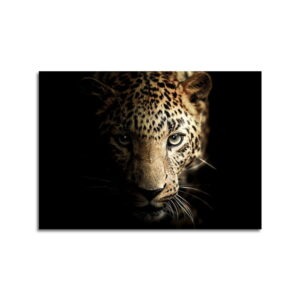 Sklenený obraz 100x70 cm Leopard - Styler