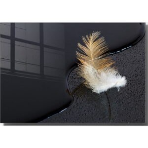 Sklenený obraz 70x50 cm Feather - Wallity